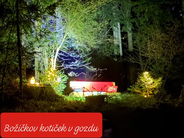 Z lučkami osvetljen večerni gozd z Božičkovim kotičkom