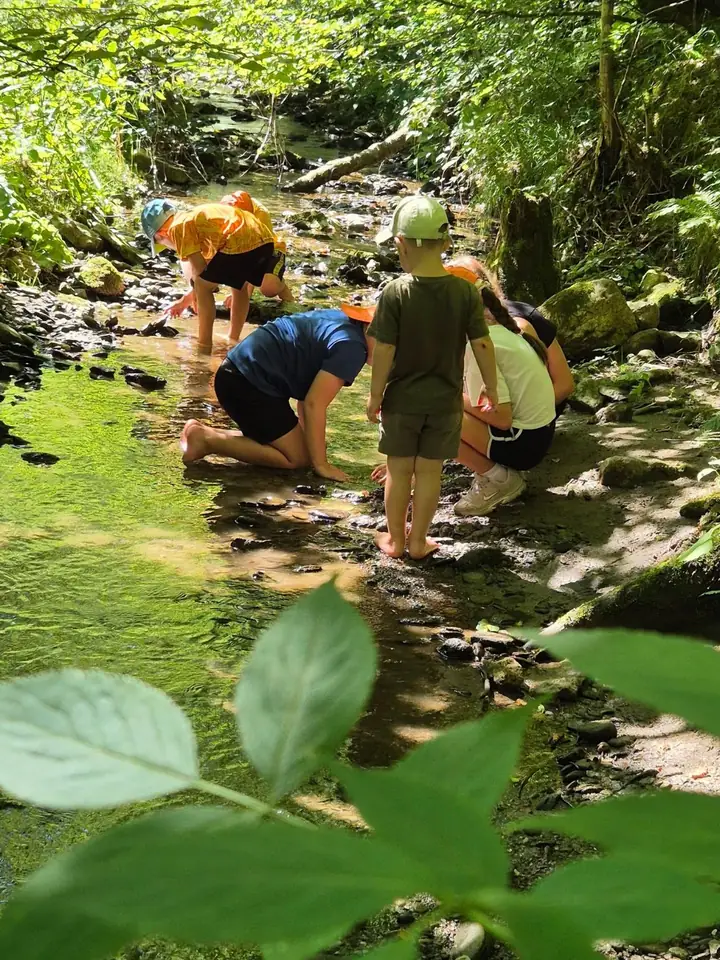 Otroci raziskujejo potoček v gozdu